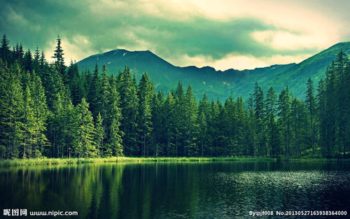 陕西11岁失踪男孩已遇害(失踪案)